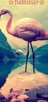 Flamingo standing in a serene lake with mountains in the background.