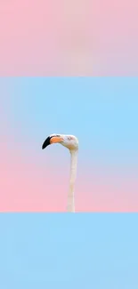 Minimal flamingo on pastel blue and pink gradient wallpaper.