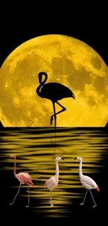 Flamingos and full moon over water creating a serene night scene.