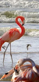 Flamingos stand gracefully by the ocean waves with vibrant colors.