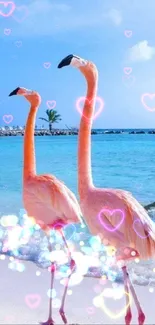 Two flamingos walking on a tropical beach with blue sea and sky.