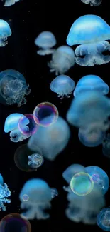 Floating blue jellyfish in a dark ocean setting for mobile wallpaper.