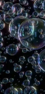 Vibrant 3D floating bubbles on a black background.