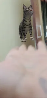 Floating cat illusion above outstretched hand.