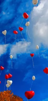 Colorful heart-shaped balloons floating in a blue sky.