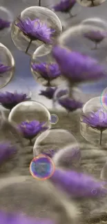 Purple flowers encased in bubbles against a serene background.