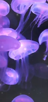 Mobile wallpaper featuring glowing purple jellyfish in an underwater scene.