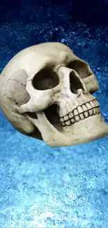 Realistic skull on blue textured background wallpaper.