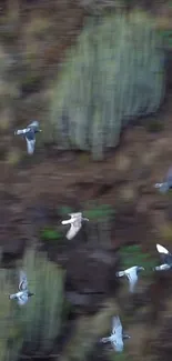 Flock of birds flying over a natural landscape background.