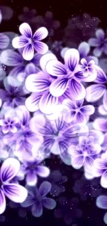 Flora Flower Plant Live Wallpaper