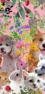 Colorful wallpaper with pets and floral design on a pink background.