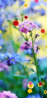 Vibrant blue and pink flowers in a peaceful garden.