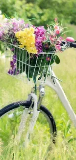 Vintage bicycle with flower basket in a green meadow.