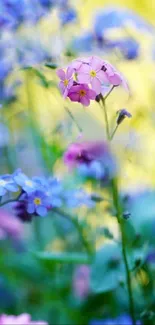 Vibrant floral wallpaper with pink and blue flowers against a yellow backdrop.