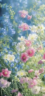 Delicate pink and white flowers with a serene blue background for mobile wallpaper.