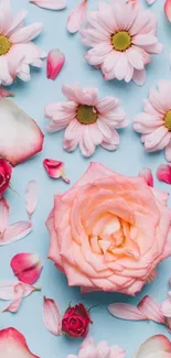 Pink and white flowers on a light blue background