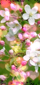 Pink and white blossom wallpaper with green background.