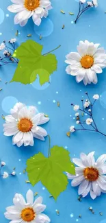 Blue wallpaper with daisies and leaves, perfect for mobile screens.