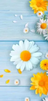 Floral wallpaper with daisies on blue wood background.