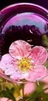 Pink flower inside a bubble against a purple background wallpaper.