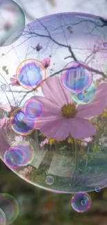 Pink flower in a bubble reflecting nature background.