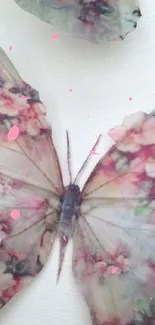 Delicate butterfly with floral pastel wings.