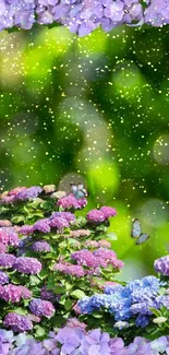 Hydrangeas and butterflies with a green bokeh backdrop.