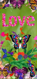 Colorful butterfly wallpaper with floral love design on green background.