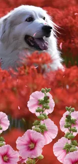 Joyful dog surrounded by red and pink flowers.