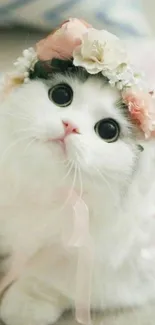 Adorable white cat with floral crown and pink background mobile wallpaper.