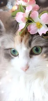 Adorable cat with pink flower crown on mobile wallpaper.