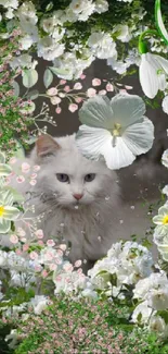 Fluffy white cat surrounded by vibrant flowers on a mobile wallpaper.