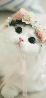 Adorable white cat with floral crown, looking up cutely.