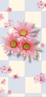 Pink flowers on a pastel checkered background