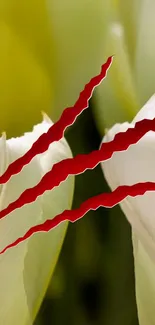 Floral wallpaper with red claw scratch design.