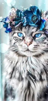 Cat with blue floral crown gazing through window.