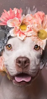 Adorable dog with a colorful floral crown.