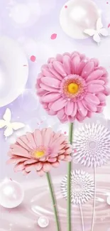 Pink daisies and butterflies on a serene pastel wallpaper.