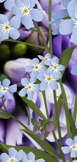 Purple and blue floral mobile wallpaper with green leaves.