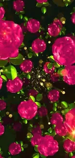 Beautiful red roses wallpaper with green leaves.