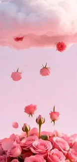 Pink cloud raining roses on floral bed.