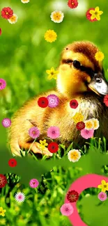 Charming duckling with colorful flowers on green grass background.