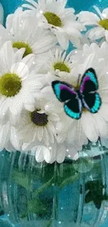 White daisies and butterfly on turquoise background.