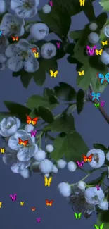 Beautiful white flowers and colorful butterflies on dark background.