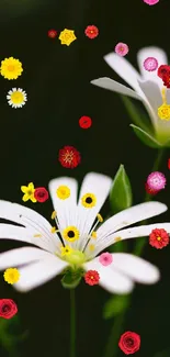 Vibrant floral mobile wallpaper with white and colorful flowers.