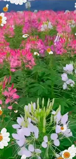 Field of vibrant pink flowers with lush greenery.