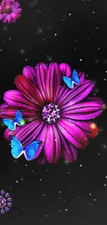 Pink flower and blue butterflies on black wallpaper.