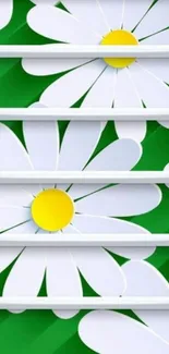 White daisies on a vibrant green background with yellow centers.