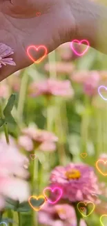 A hand touching pink flowers with glowing hearts.