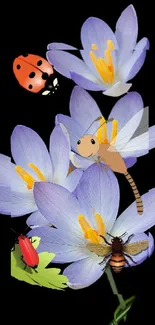 Insects on purple flowers with black background wallpaper.